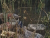 o_Contaminacmares rincondelvago