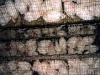 o_Granjas industriales2