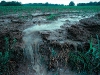o_Runoff_of_soily fertilizer