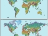 o_World blooms