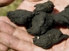 Sludge What\'s In It