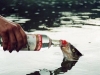 peces_bebiendo