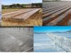 plastico-agricultura-contaminacion