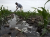 riego-con-aguas-residuales-en-latinoamerica