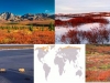 tundra-contaminacion-mercurio
