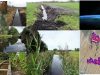 emisones de metano, antrosuelos, histosoles, tecnosuelos, suelos hídricos, zanjas, canales,