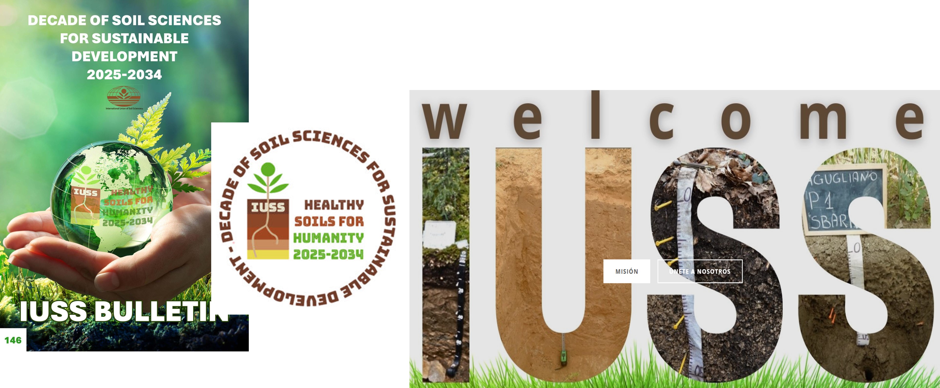 Decenio-2026-IUSS