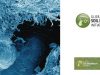 Blog-BENEATH-OUR-FEET