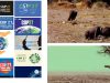 COP27-segundo-post