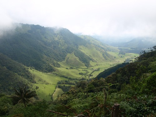 Valle de Cocora. Eje Cafetalero de Colombia. Fuente: Trotamundos 