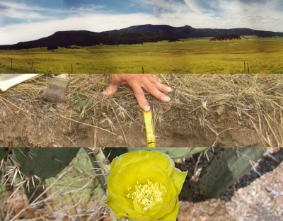 czen-crtical-zone-exploration-network