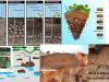 Alteracion-de-las-rocas-zona-critica