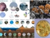 diversidad-microbiana-y-sustrato-profundidad-tierra