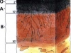 o_Hidric Soil USDA-NRCS