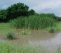 o_Pajoinales Suelos flotantes acua1