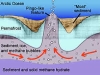 o_Underwatertimes methane_bubbles