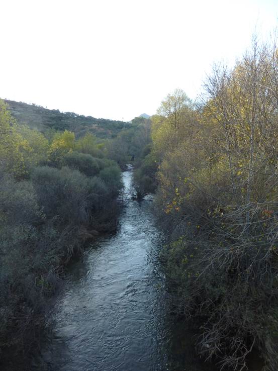 alia-pto-san-vicente-ripisilva