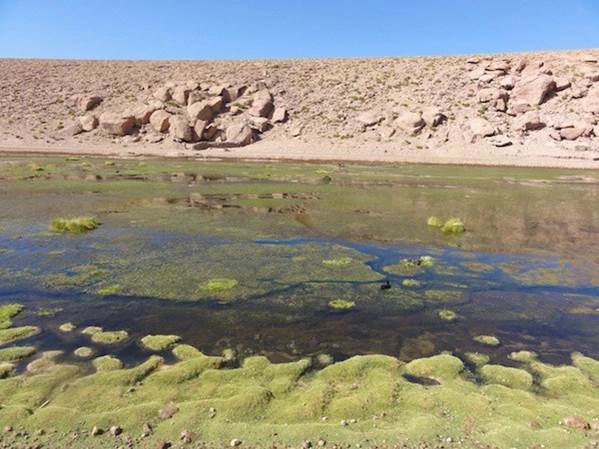 atacana-cuerp-de-agua