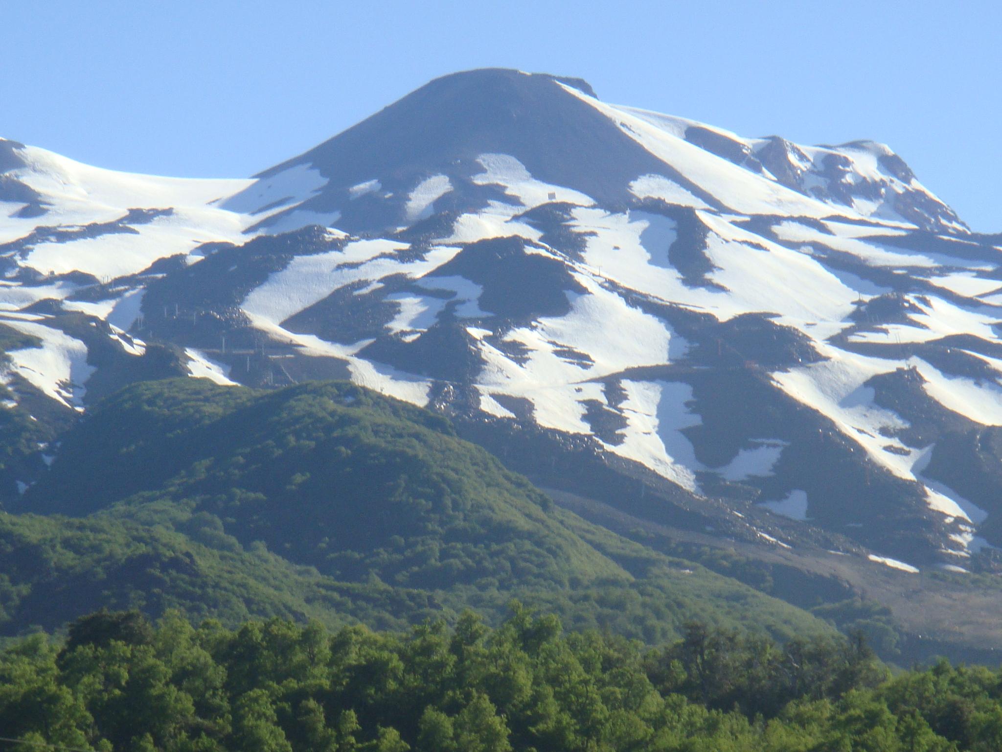  Volcán Chillán (Chile) y sus bosques de Nothofagus                              