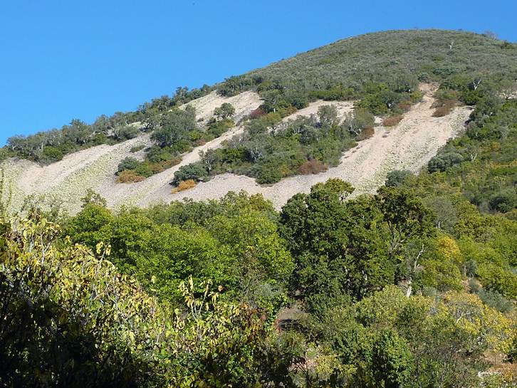 bosue-estabilizando-gleras-ibor-hurdes