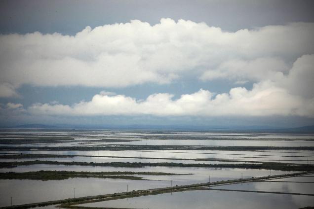 brisbane-durante-la-inundacion-fuente-gulfnews-com