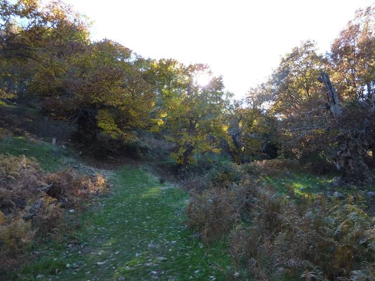 camino-forestal-hurdes-ibor