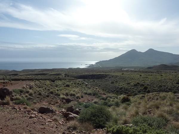 espartales-cabo-de-gata