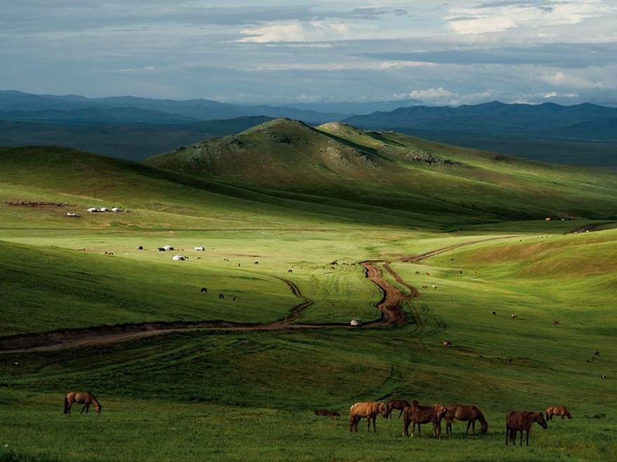 estepa-mongolia-national-geographic