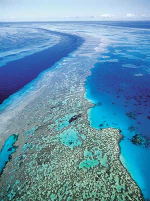 gran-barrera-coralina-fuente-videos-de-australia