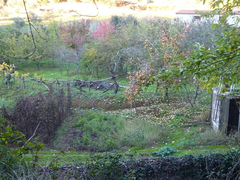 huerto-tradicional-hurdes-ibor