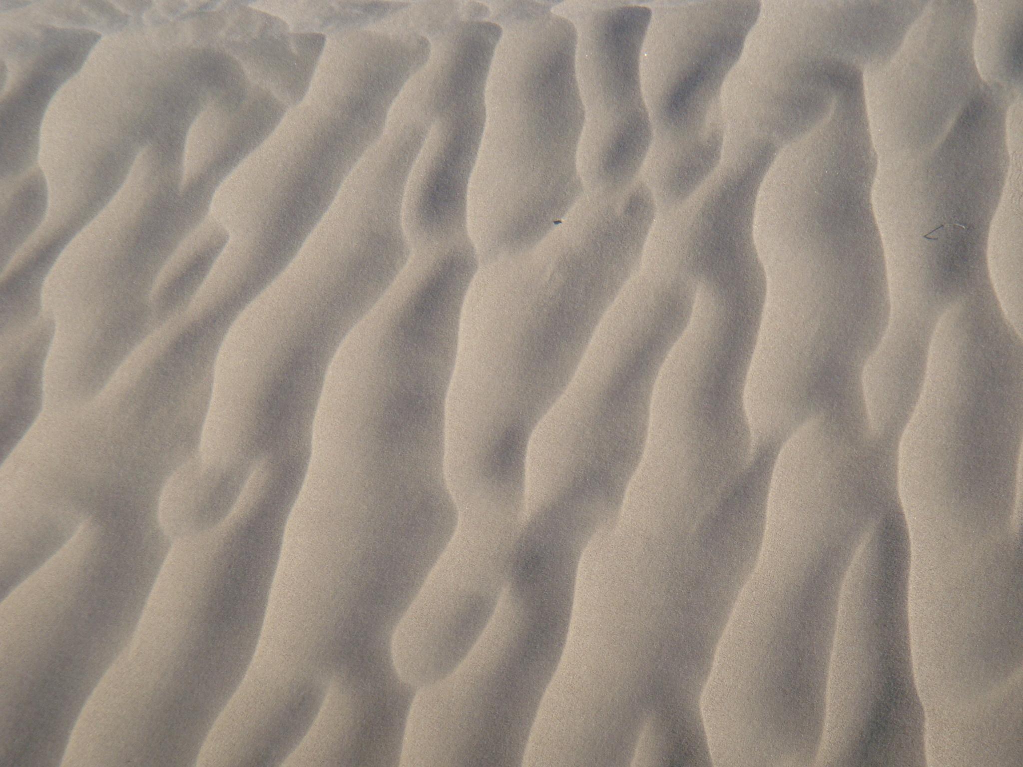 Dunas de Bilbao 2, México. Foto: Juan José Ibáñez