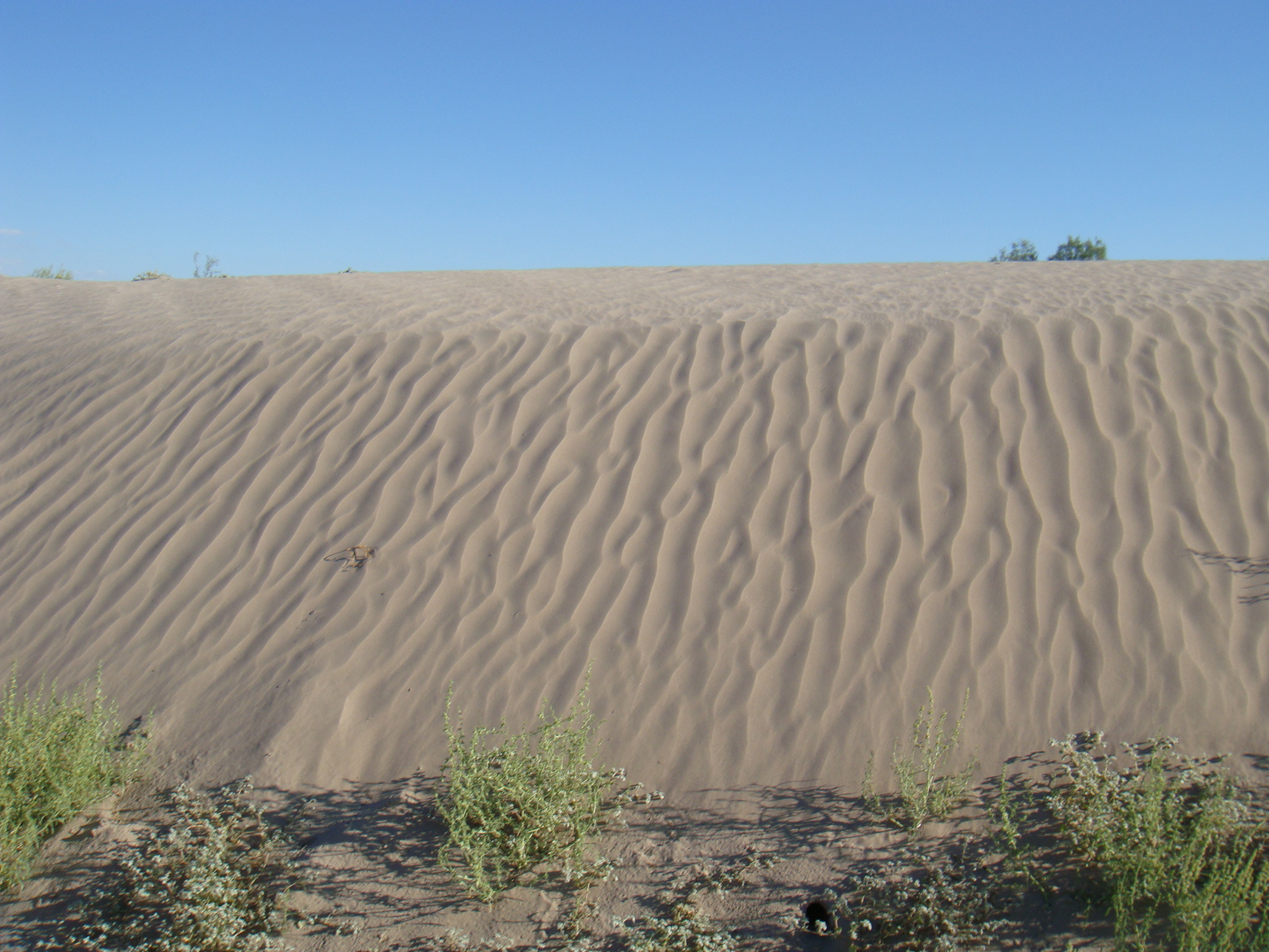 Dunas de Bilbao, México. Foto: Juan José Ibáñez