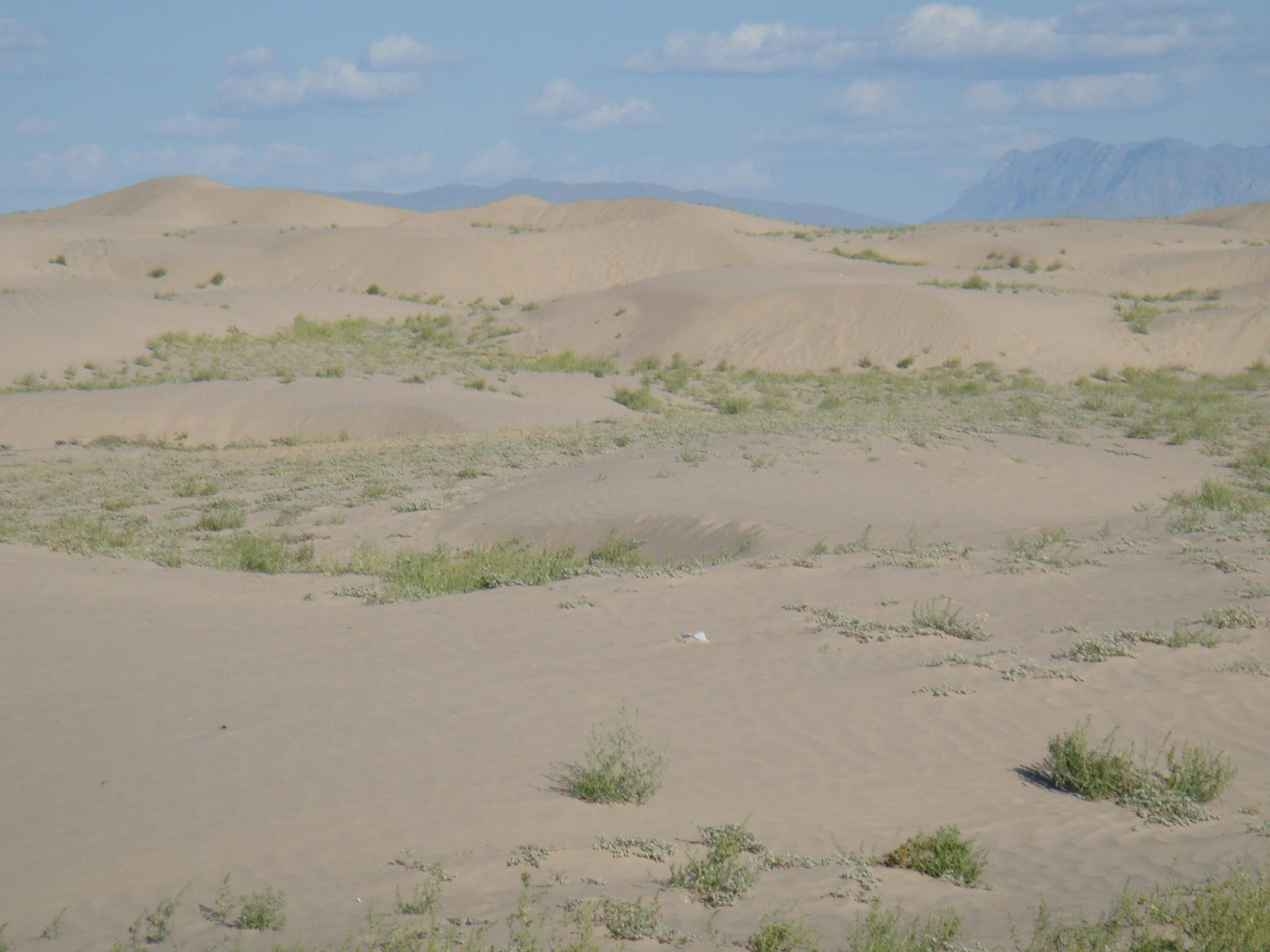 Dunas de Bilbao 3, México. Foto: Juan José Ibáñez