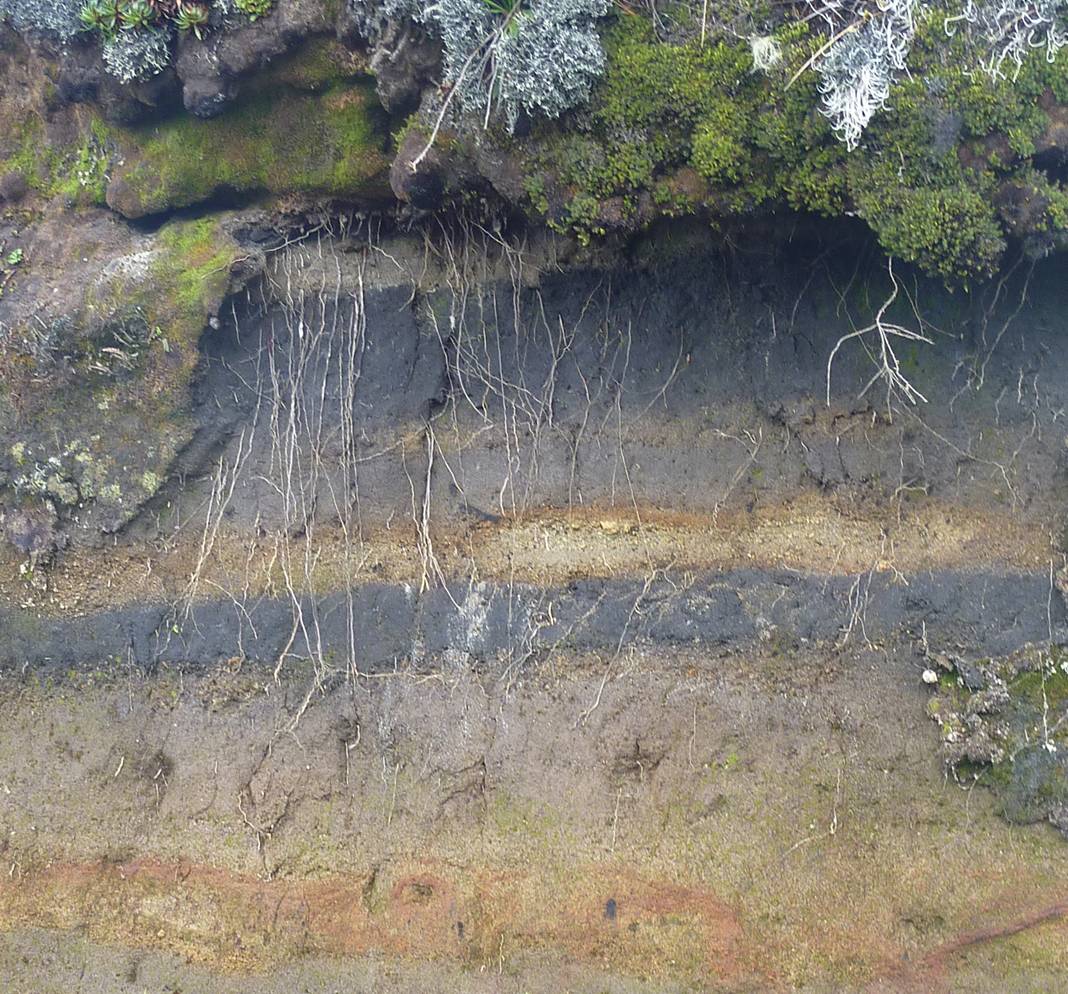 paleo-suelos-enterrados-por-sucesivas-capas-de-cenizas-volcanicas-colombia