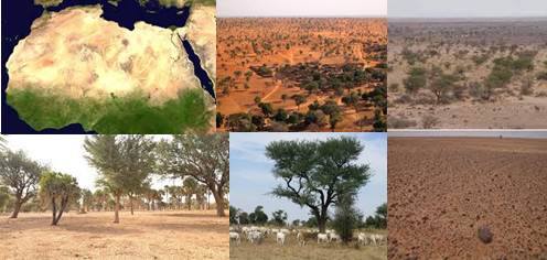 sahara-secuestro-de-carbono