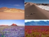 atacama-yvida-bajo-suelo