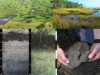 humedal-suelo-hidrico-secuestro-carbono