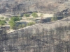 incendios-forestales-y-especies-pirofiticas