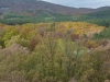 mosaico-bosques-hurdes-ibor_0