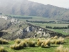 nueva-zelanda-pastos-fuente-nz-southern-traveller