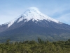 Osorno