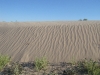 Dunas de Bilbao, México. Foto: Juan José Ibáñez                               