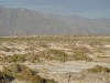 Desierto de Coahuila. Foto: Juan José Ibáñez