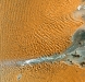 Desierto Namibia. Mares de Dunas. Fuente: Wired Science
