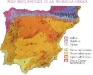 o_Ingeniero forestal