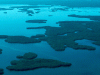 o_Mangrove Florida wetlands lle countty