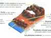 o_zonas geogr Chile Norte