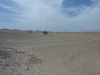 peru-desierto-tica