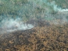 quema-de-los-bosques-pantanosos-fuente-wetlands-international
