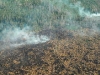 quema-de-los-bosques-pantanosos-fuente-wetlands-international